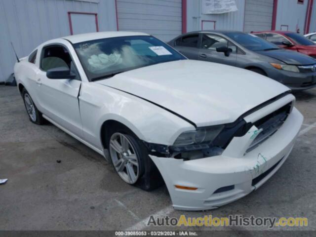 FORD MUSTANG, 1ZVBP8AM6D5252913