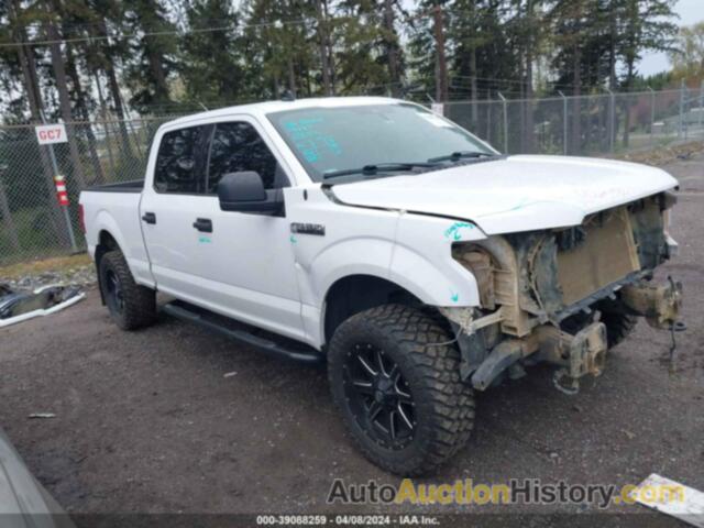 FORD F-150 XLT, 1FTFW1E50LKD68593