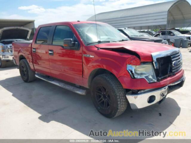 FORD F150 SUPERCREW, 1FTEW1C84AFC02088
