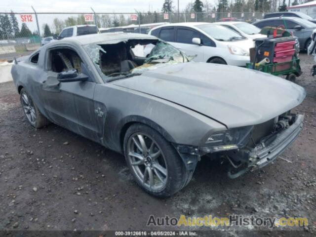 FORD SHELBY GT500, 1ZVBP8JS4B5156466