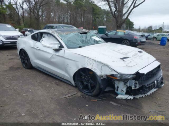 FORD MUSTANG ECOBOOST FASTBACK, 1FA6P8THXL5122691