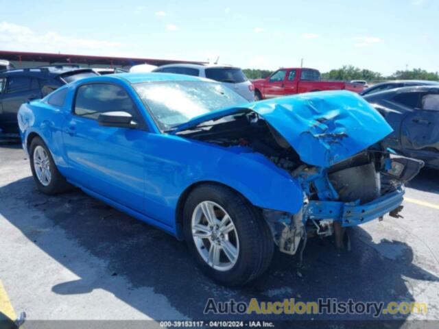 FORD MUSTANG, 1ZVBP8AM1E5221568