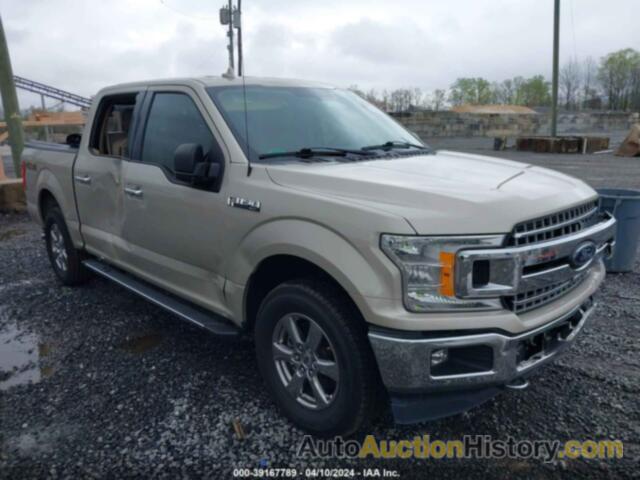 FORD F-150 XLT, 1FTEW1EP0JFD93447
