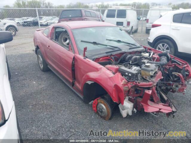 FORD MUSTANG, 1ZVHT80N485191079
