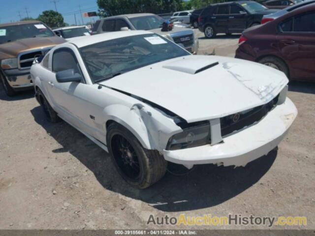 FORD MUSTANG, 1ZVHT82H585132176
