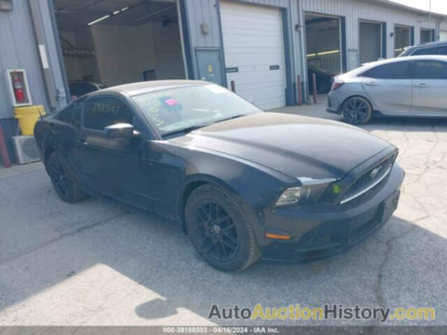 FORD MUSTANG, 1ZVBP8AM6E5207200