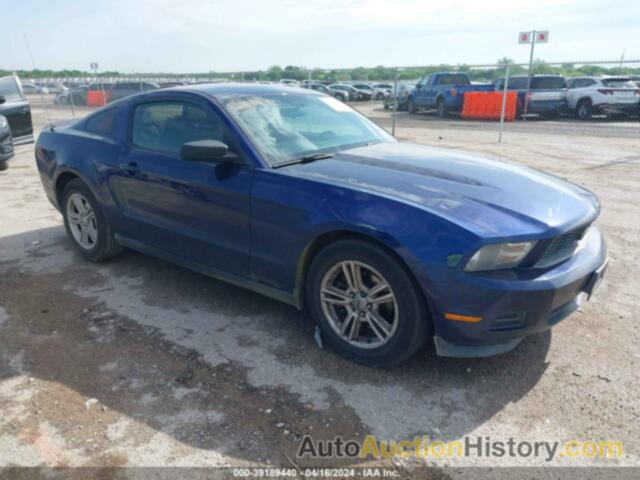 FORD MUSTANG, 1ZVBP8AM6C5264865