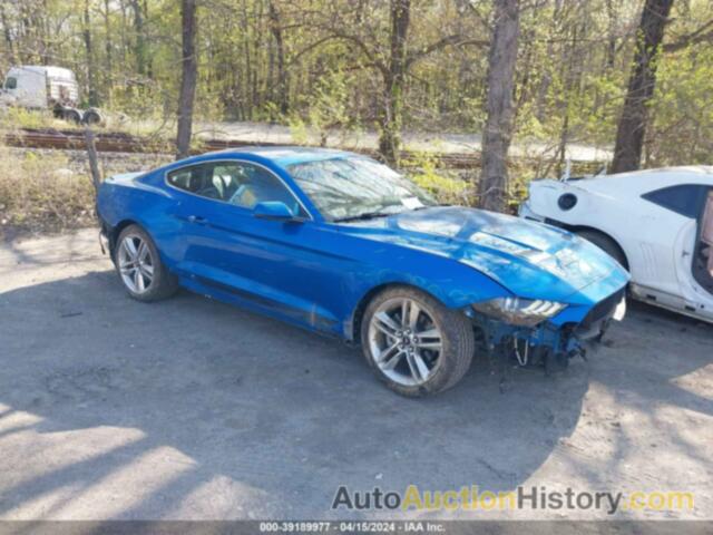 FORD MUSTANG, 1FA6P8TH1K5102005
