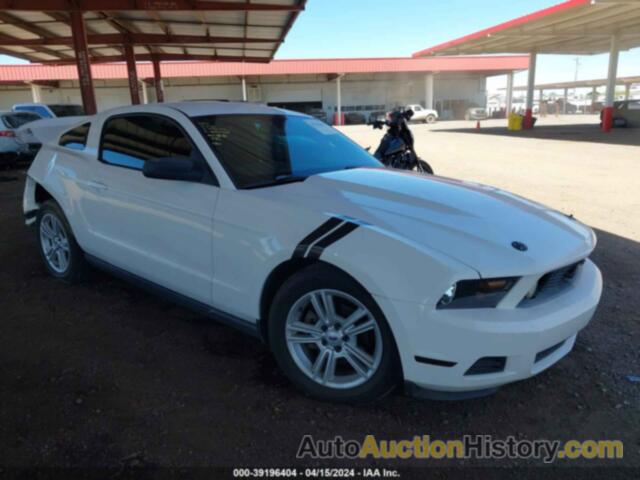 FORD MUSTANG, 1ZVBP8AN6A5105415