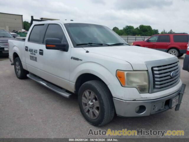 FORD F-150 XLT, 1FTFW1CFXBFD11336