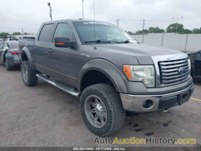 FORD F150 SUPERCREW, 1FTEW1E82AFC56499