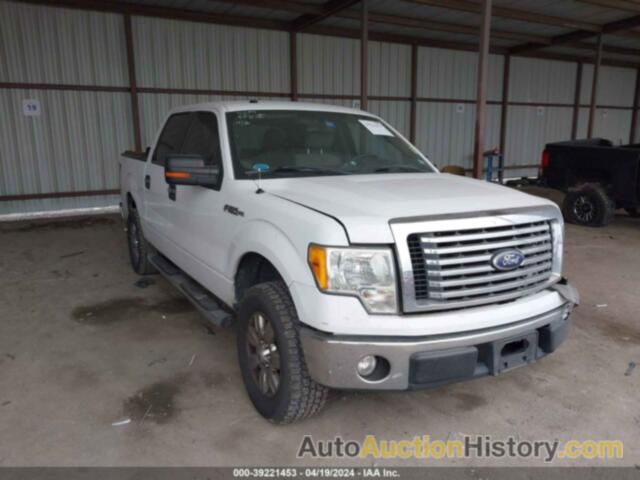 FORD F150 SUPERCREW, 1FTEW1C83AFC96447