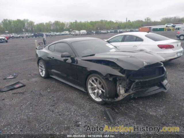 FORD MUSTANG, 1FA6P8TH5F5341224
