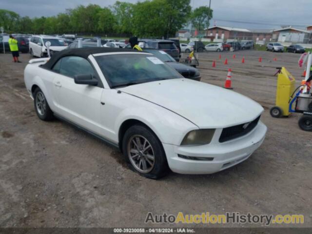 FORD MUSTANG, 1ZVFT84N555189452