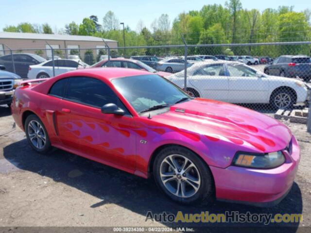 FORD MUSTANG GT, 1FAFP42X92F206687