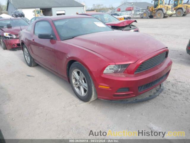 FORD MUSTANG, 1ZVBP8AM0E5314775