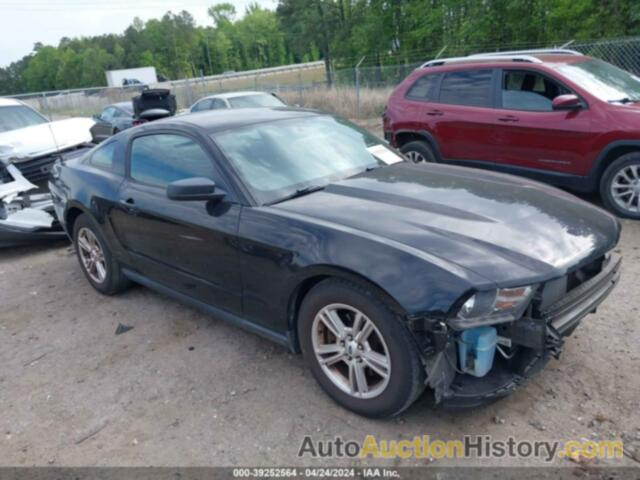 FORD MUSTANG, 1ZVBP8AM5C5285156