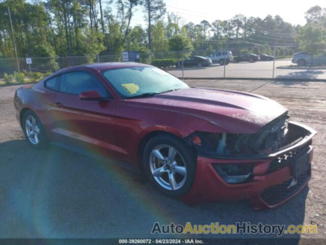 FORD MUSTANG, 1FA6P8TH0F5342412
