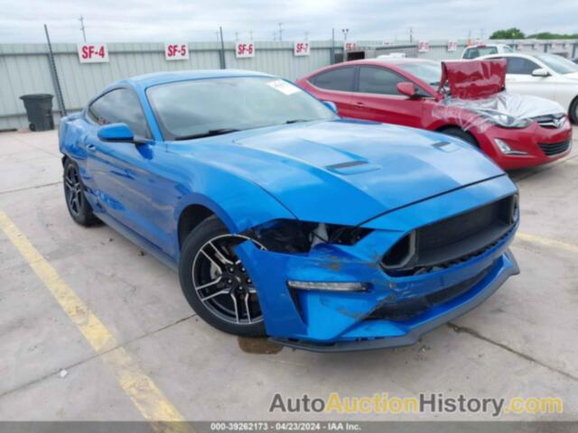 FORD MUSTANG, 1FA6P8TH3K5168846