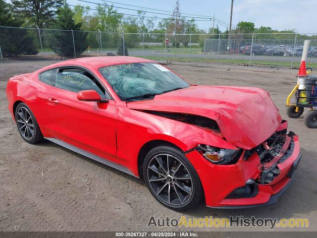 FORD MUSTANG, 1FA6P8TH2F5336479
