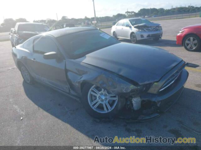 FORD MUSTANG, 1ZVBP8AM3E5286941