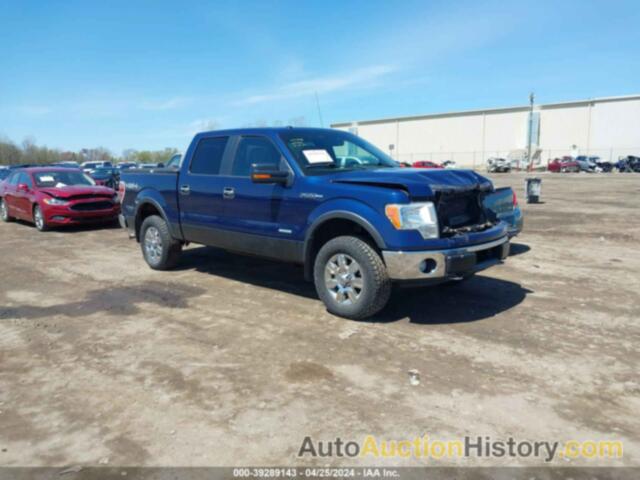 FORD F-150 XLT, 1FTFW1ET0BFC18652