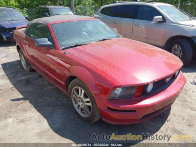 FORD MUSTANG GT, 1ZVHT85H255193072