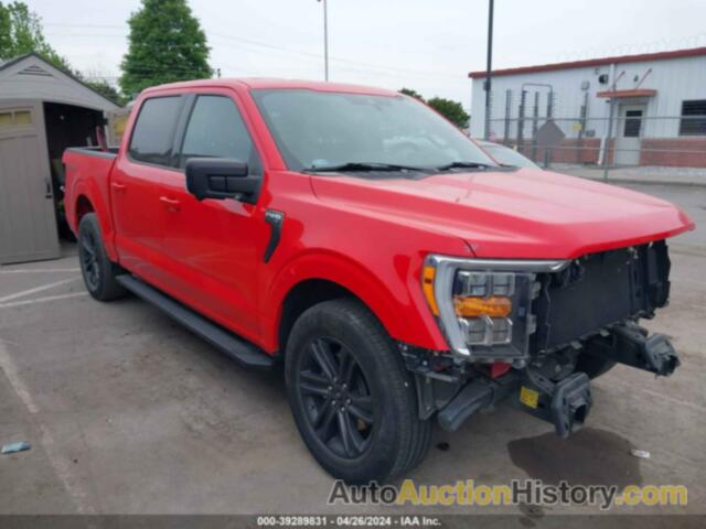 FORD F-150 XLT, 1FTEW1C54MKE72858
