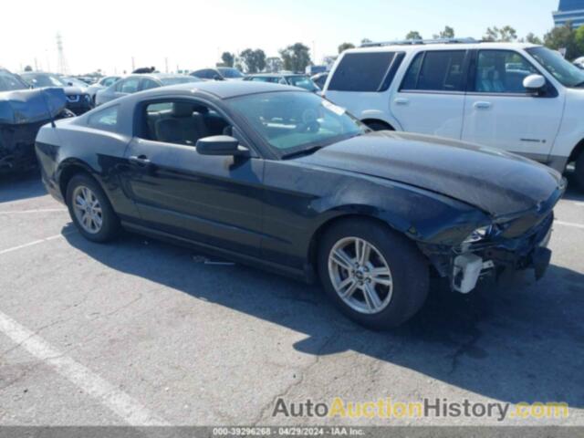 FORD MUSTANG, 1ZVBP8AM9D5241811