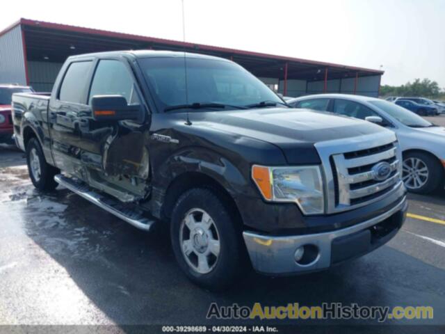 FORD F150, 1FTEW1CF1CE77529