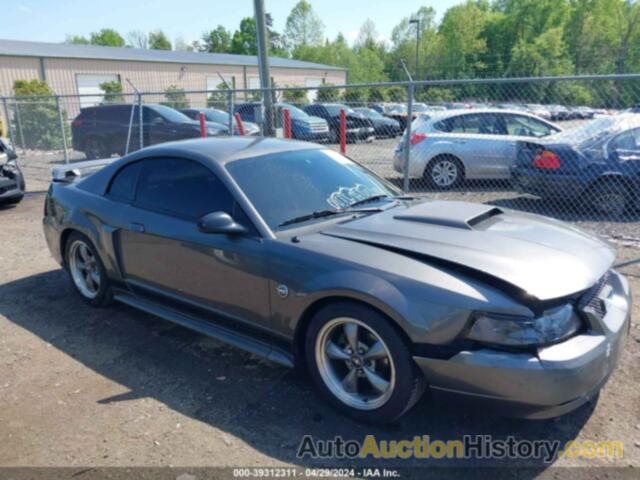 FORD MUSTANG GT, 1FAFP42X24F127994