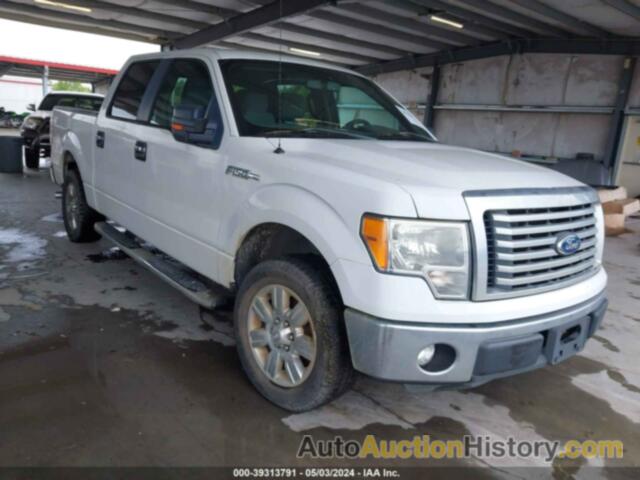 FORD F-150 XLT, 1FTEW1CM4BFB38357