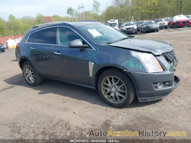 CADILLAC SRX PERFORMANCE COLLECTION, 3GYFNDE32DS573366