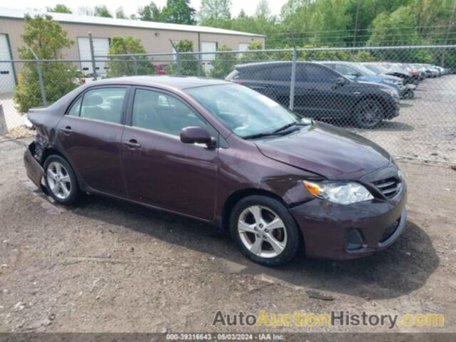 TOYOTA COROLLA LE SPECIAL EDITION, 2T1BU4EE8DC066008
