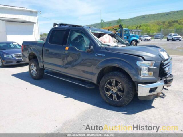 FORD F-150 XLT, 1FTEW1EF9GFC51937