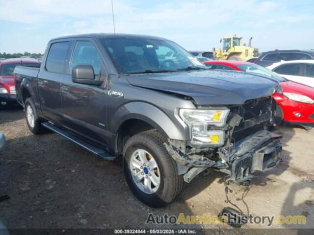 FORD F-150 XLT, 1FTEW1EP5FFC30655