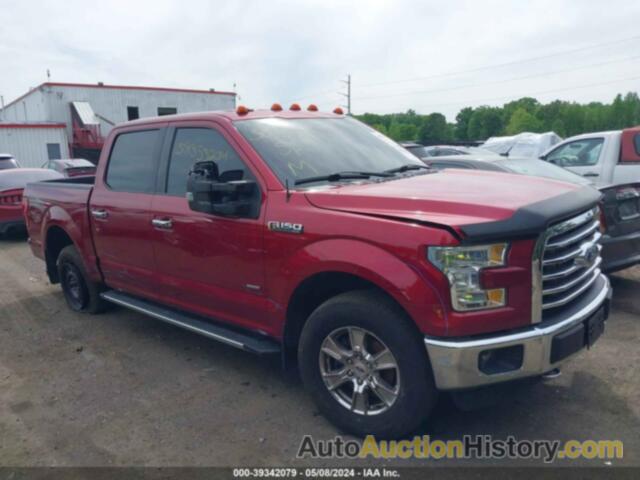 FORD F-150 XLT, 1FTEW1EP6GFC80790