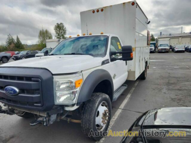 FORD F-550 CHASSIS XL, 1FDUF5HT6CED24049