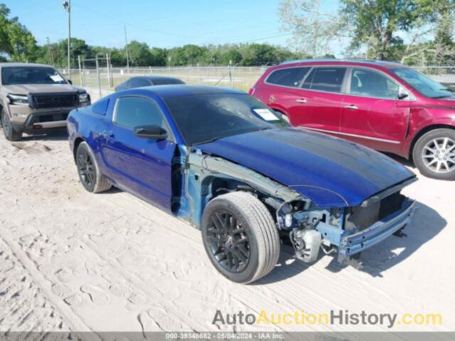 FORD MUSTANG, 1ZVBP8AM7E5298445