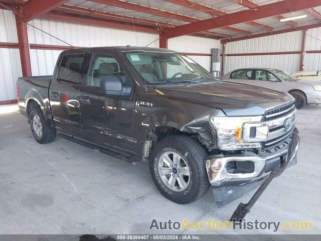 FORD F-150 XLT, 1FTEW1CP4JKD84826