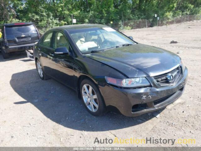 ACURA TSX, JH4CL96815C018971