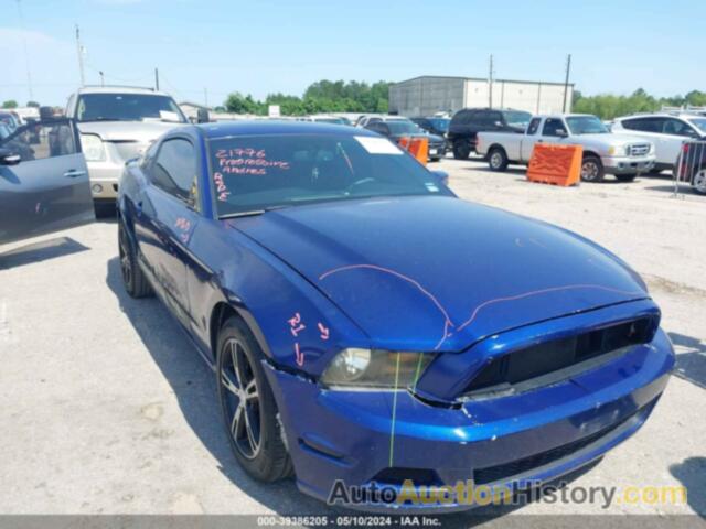 FORD MUSTANG, 1ZVBP8AM7D5224893